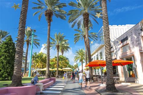 miami street with stores with fake clothing|shopping in miami area.